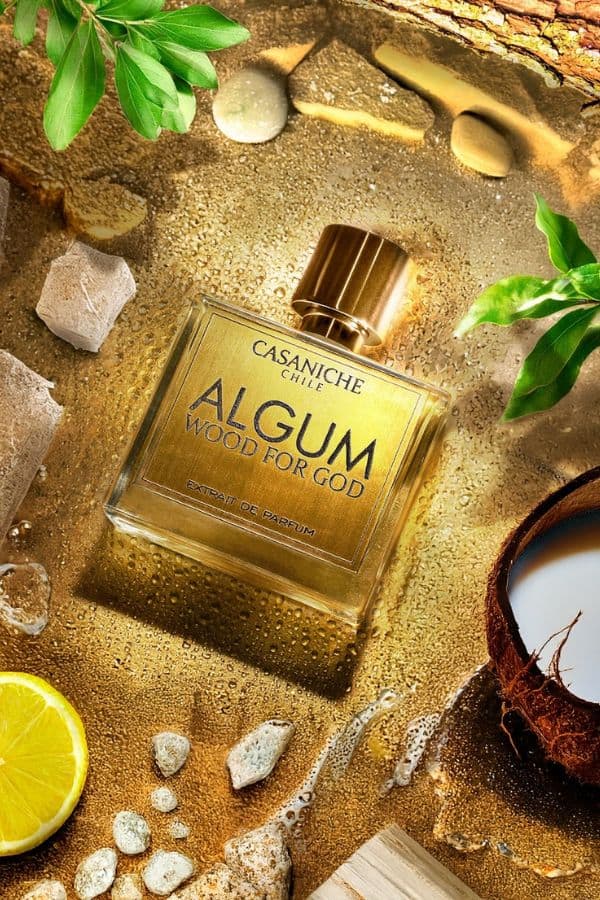 Algum Wood for God - Casaniche
