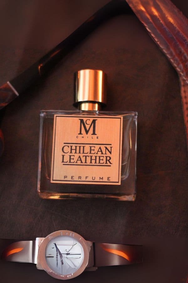 Chilean Leather - Casaniche