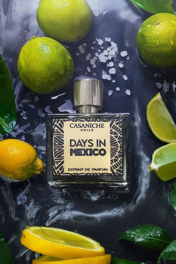 Days in Mexico. - Casaniche