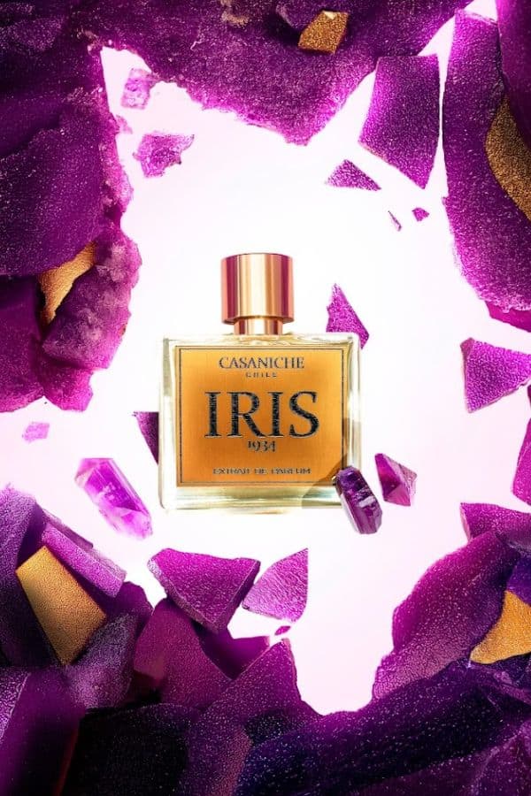 Iris 1934 - Casaniche