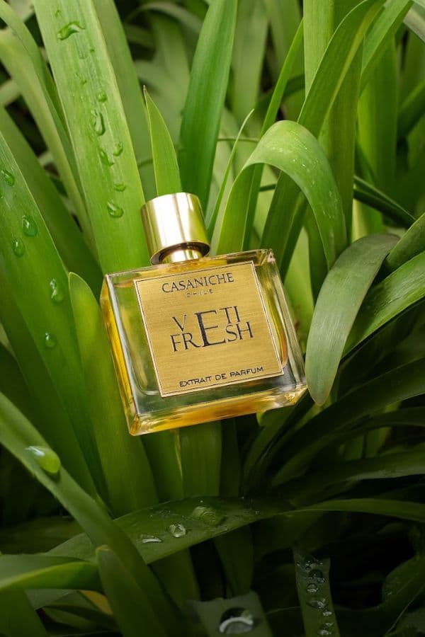 Vetifresh - Casaniche